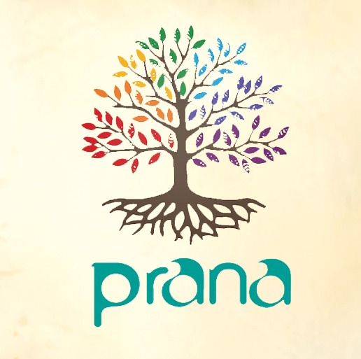 Prana Cultural & Charitable Foundation Kerala